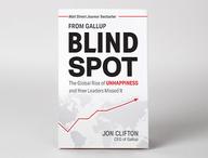 Front cover of Blind Spot.