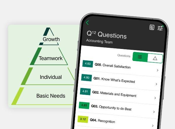 Growth; Teamwork; Individual; Basic Needs. Q12 Questions