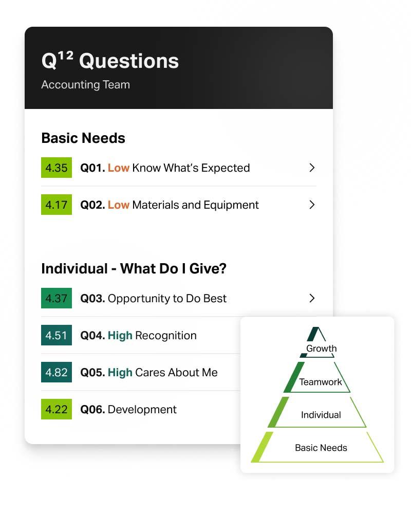 Q12 Questions Dashboard dowing Basic Needs and Individual - What Do I give
