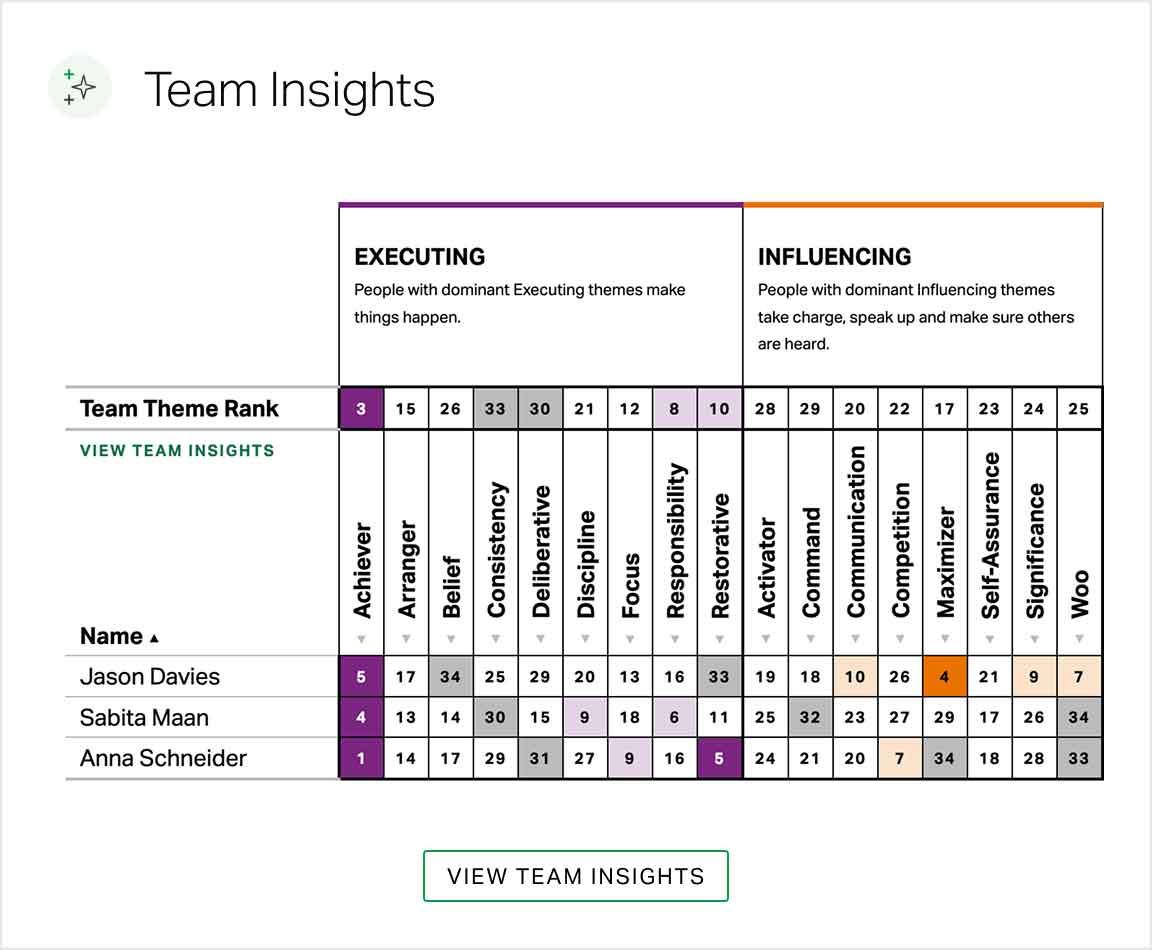 Team Insights | Team grid with the Executing and Influencing themes, Team Theme Rank for each strength and the score for each of the team members
