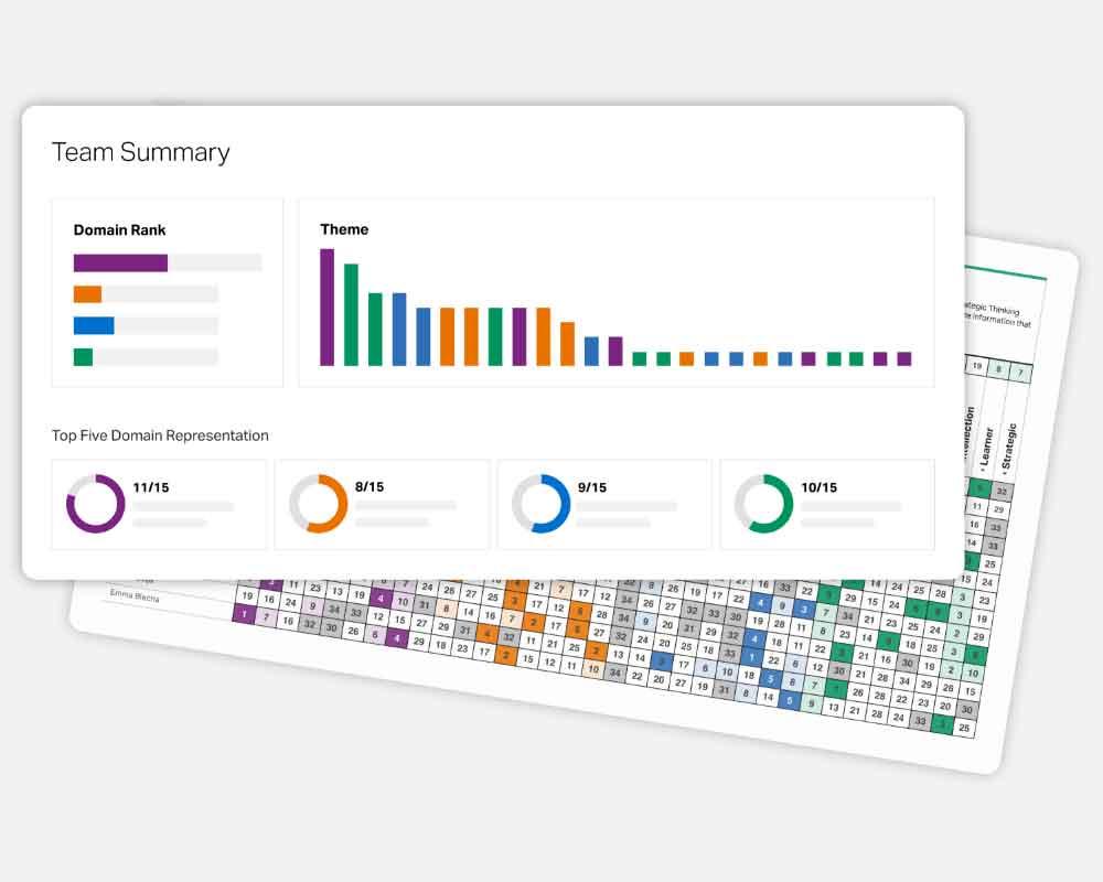 Team Summary. Domain Rank. Top Five Domain Representation. Executive - 11/15, Influencing - 8/15, Relationship Building - 9/15, Strategic Thinking - 10/15. Theme.