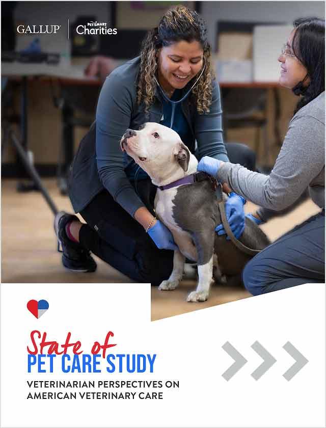 State of Pet Care Study: Veterinarian Perspectives on American Veterinary Care report cover