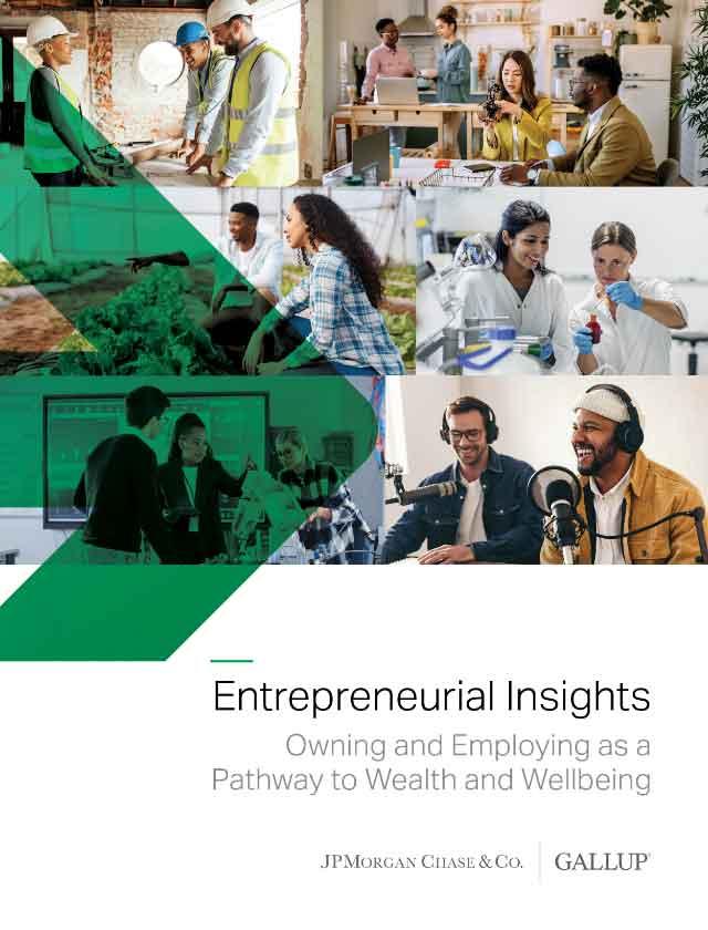 Entrepreneurial Insights: Owning and Employing as a Pathway to Wealth and Wellbeing report cover