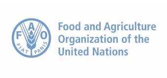 Food and Agriculture Organization of the United Nations logo