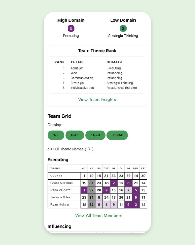 Graphic depicting mobile view of the CliftonStrengths Team Grid displaying data including High and Low Domain, Team Theme Rank and the full team grid