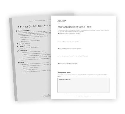 Example of the CliftonStrengths Team Activities Guide