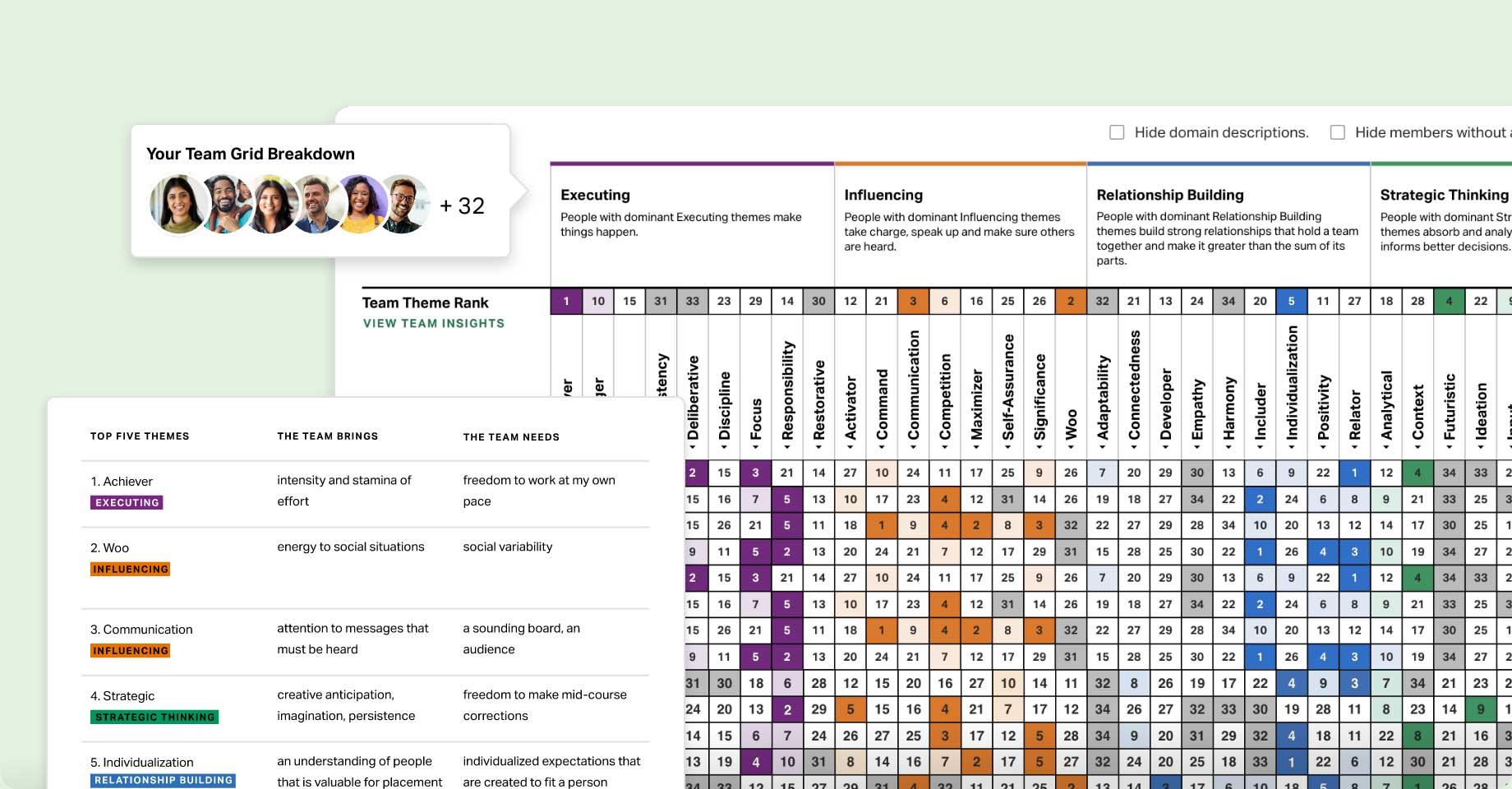 Your Team Grid Breakdown. Executing, Influencing, Relationship Building and Strategic Thinking. Top Five Themes: 1. Achiever 2. Woo 3. Communication 4. Strategic 5. Individualization