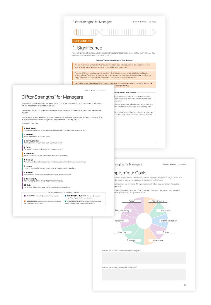 CliftonStrengths-Bericht für Führungskräfteerstellt