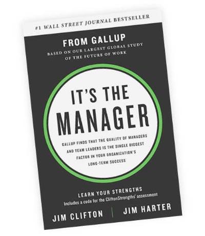 It's The Manager book cover