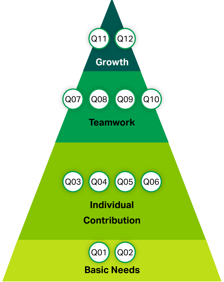Pyramid with Growth: Q11, Q12 at the top of Teamwork: Q07, Q08, Q09, Q10 on top of Individual Contribution: Q03, Q04 ,Q05, Q06 on top of the base of Basic Needs: Q01, Q02
