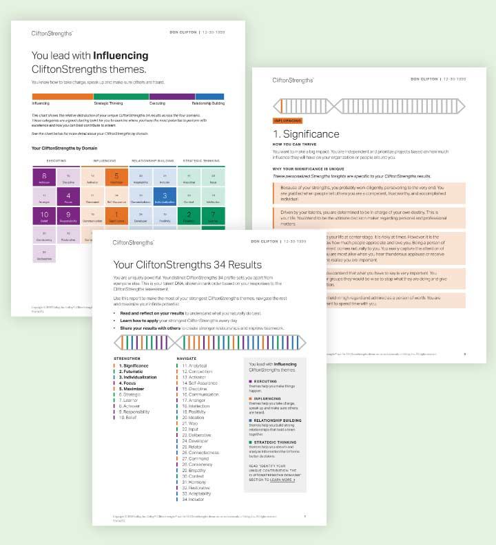 Example pages of CliftonStrengths 34