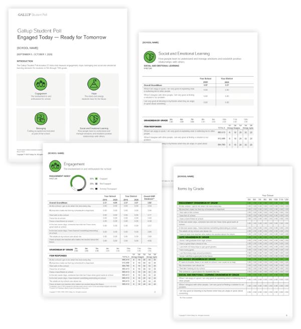 Sample Gallup Student Poll Reports