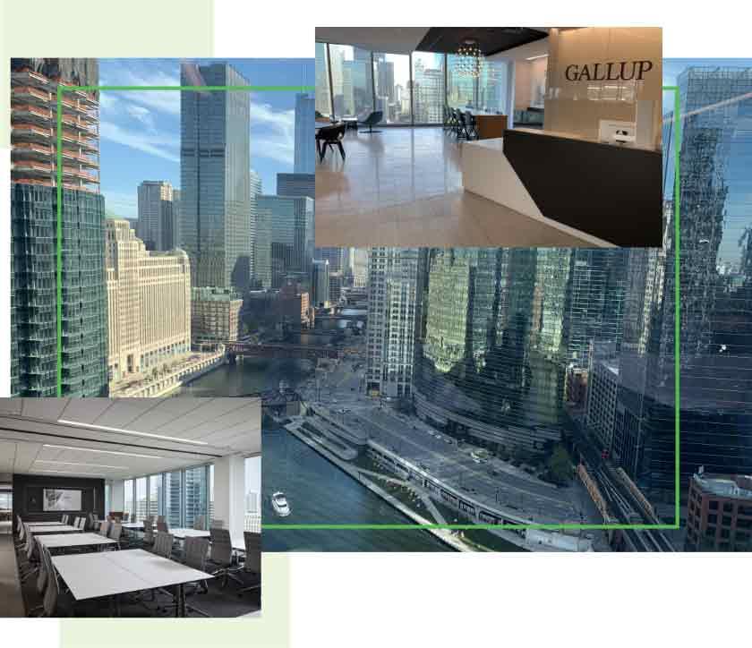 Collage of Chicago and Participants