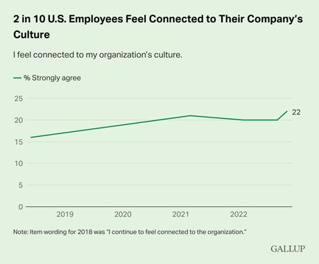Organizational Culture