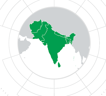 South Asia region depicted on a map