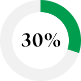 Pie chart showing 30%