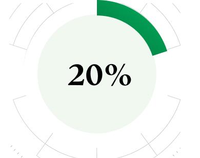 20%