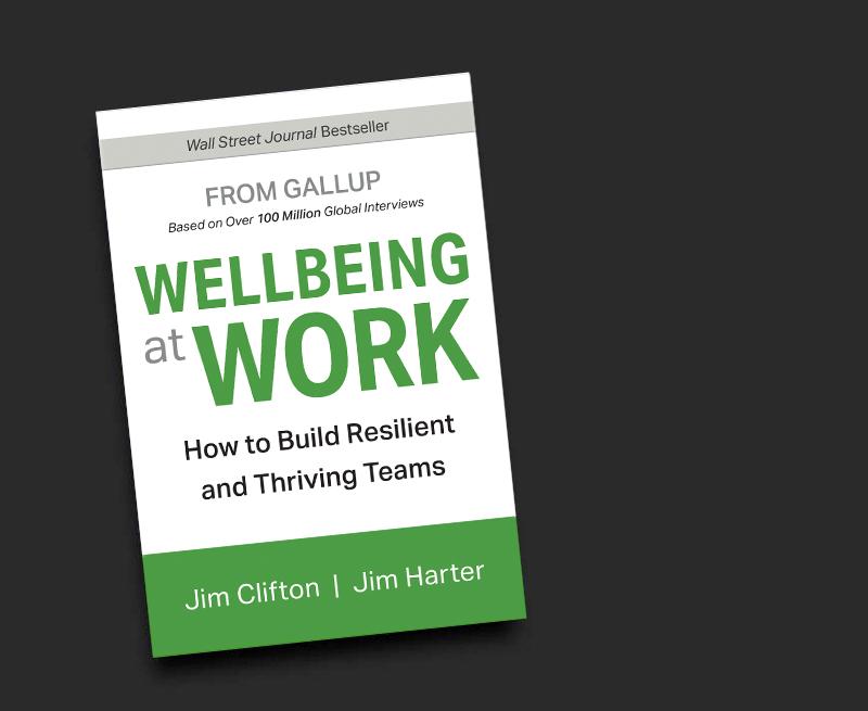 Image of Wellbeing Book