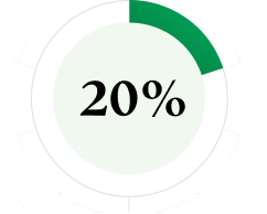 20%