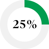 Pie chart showing 25%