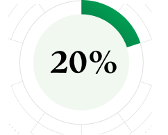 20%