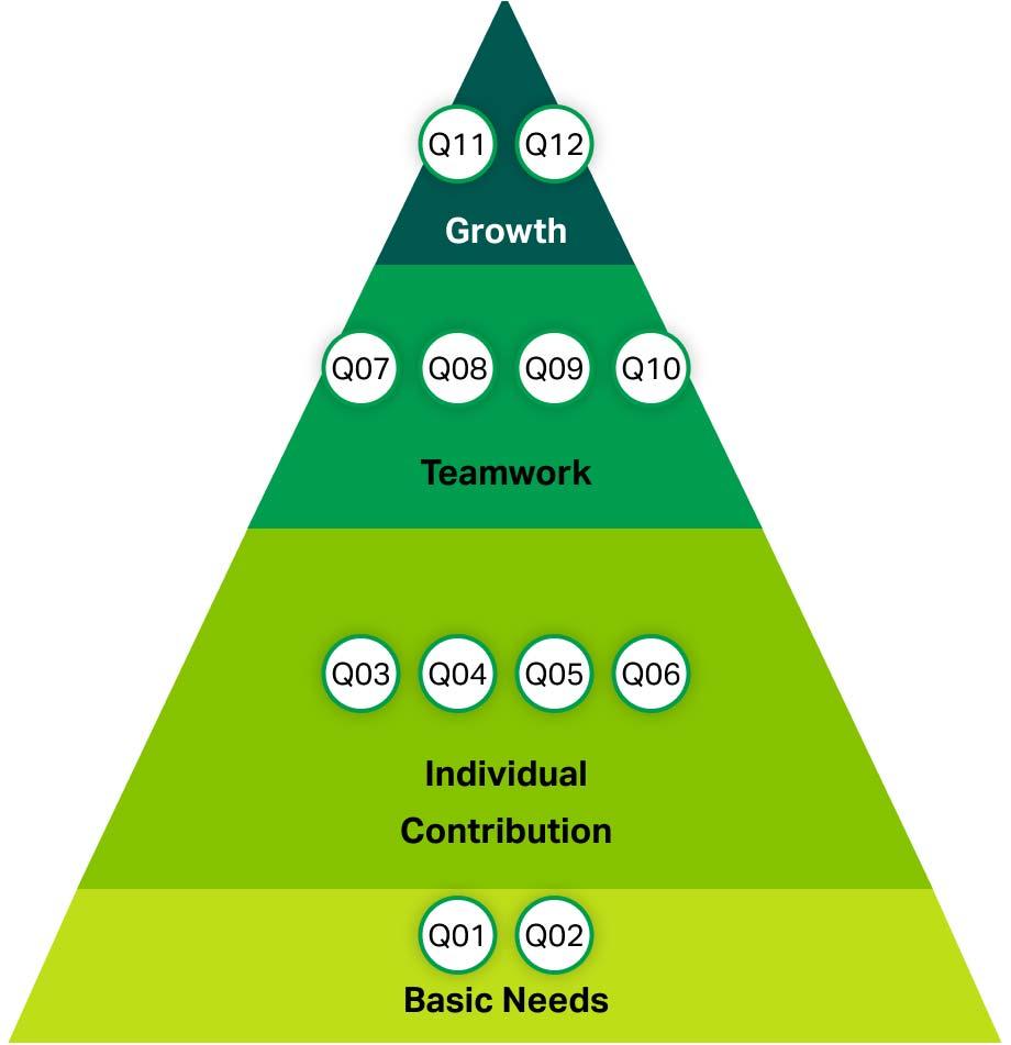 Pyramid with Growth: Q11, Q12 at the top of Teamwork: Q07, Q08, Q09, Q10 on top of Individual Contribution: Q03, Q04 ,Q05, Q06 on top of the base of Basic Needs: Q01, Q02