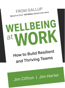 Cover of Wellbeing At Work report