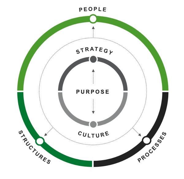 Gallup’s organizational effectiveness circle with purpose in the center, then strategy, culture, people, structure and processes on the outer circles.