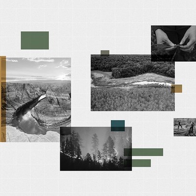 Walton Family Foundation-Gallup Environment Research Hub