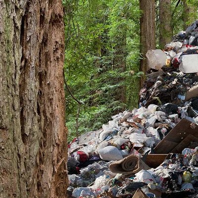 U.S. Public Opinion on the Environment in 2021