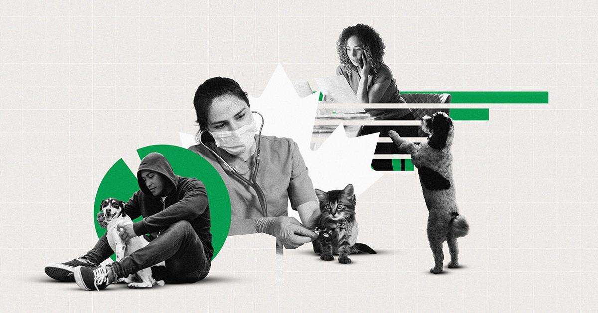 Canadian Veterinarians Cite Cost as Top Barrier to Care