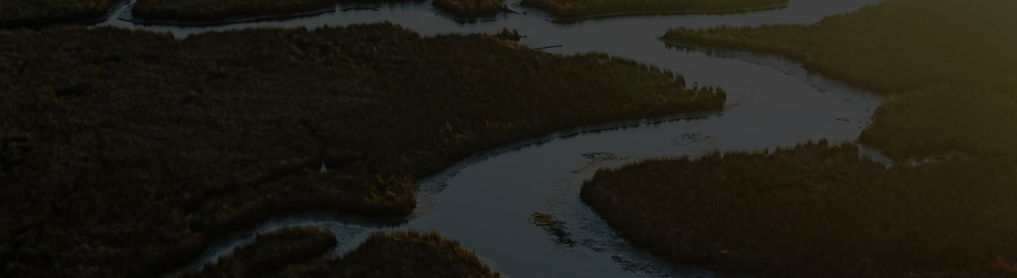 Walton Environment Research > Top Card > No Form > 2025-09 [UPDATE]