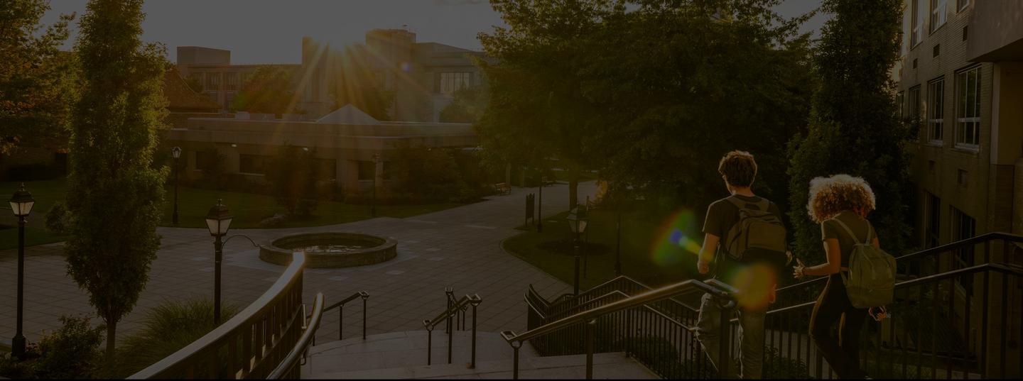 CA Futures Foundation > Research Hub > Top Card > Before