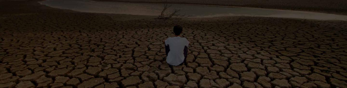 Citi > Press Release Card