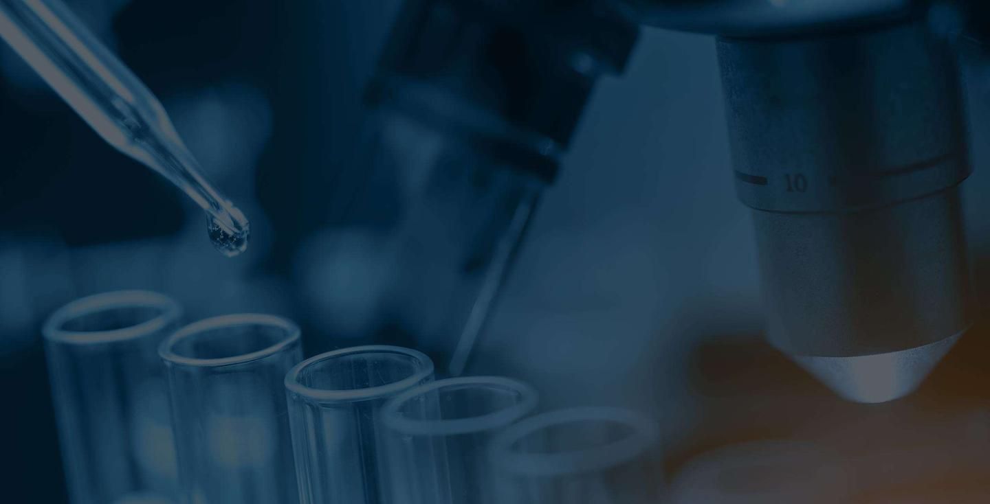 Welcome Success Story > Image