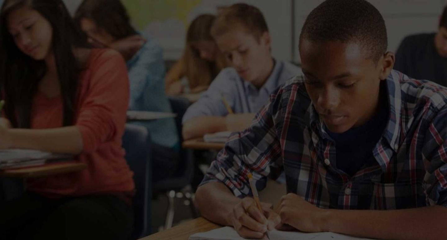 Education homepage > Fake Parent