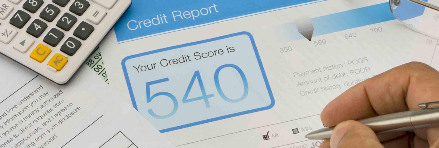 Financial Wellbeing > Fake Parent Card > Credit Reports