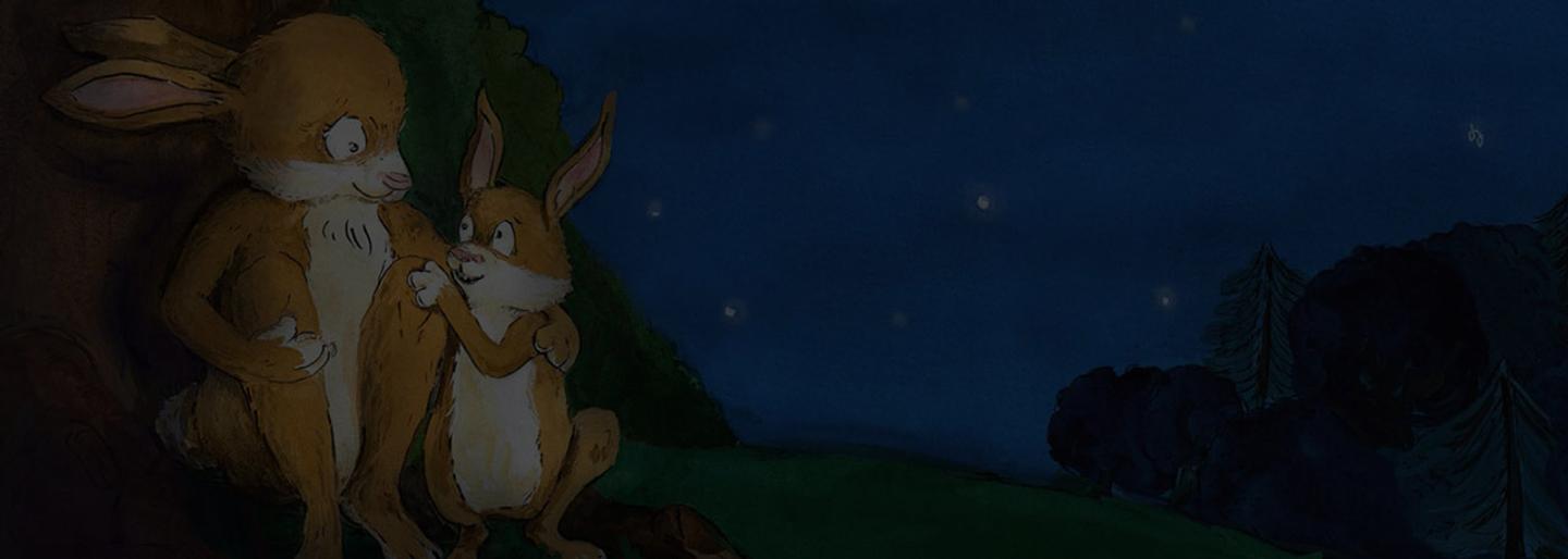 Run Rabbit Run > Top Card
