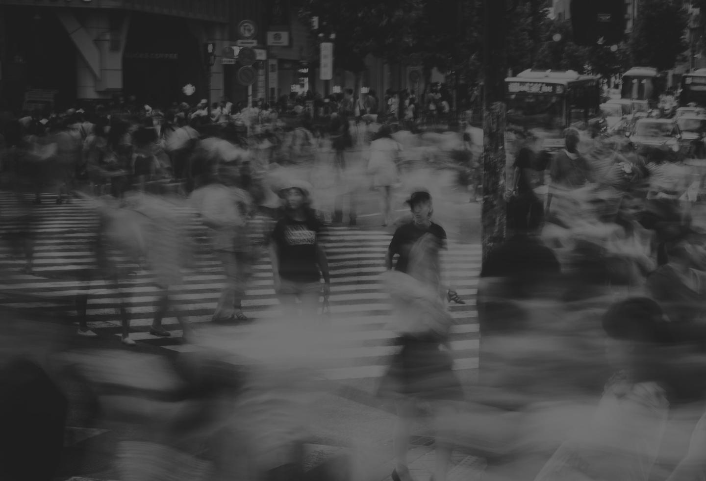 Presidential Election > Feature Section