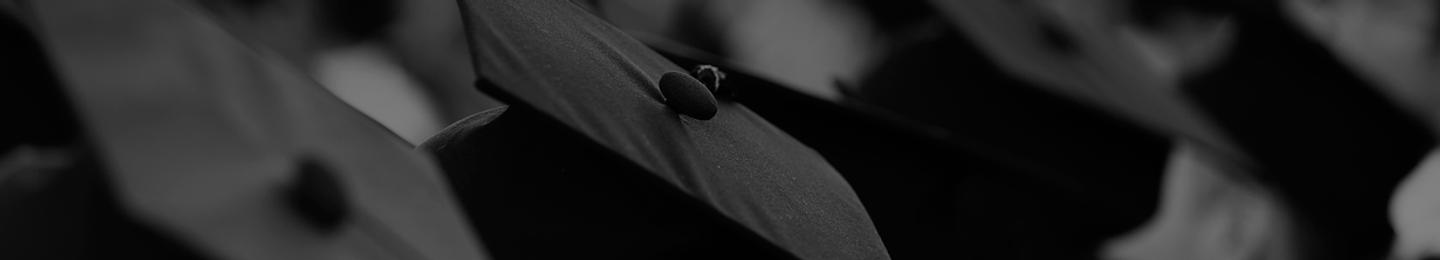 Service Landing Page > GPI > card 2 (image)