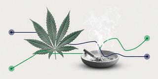 U.S. Marijuana Smoking at Record High, Cigarettes at Low