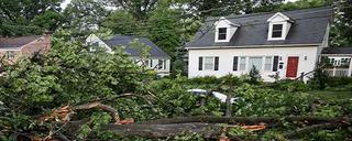 <h3>Environmental Crises Strongly Impact Mental Health, Wellbeing</h3>
