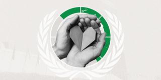 Americans Rate United Nations Poorly in Five Areas