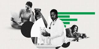 Veterinarians Say Cost Is the Main Driver of Declined Care