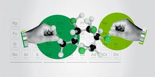 <h3>The Science of Teams - Gallup</h3>