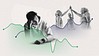 Life Ratings of Young Adults Down 20 Points Since 2010
