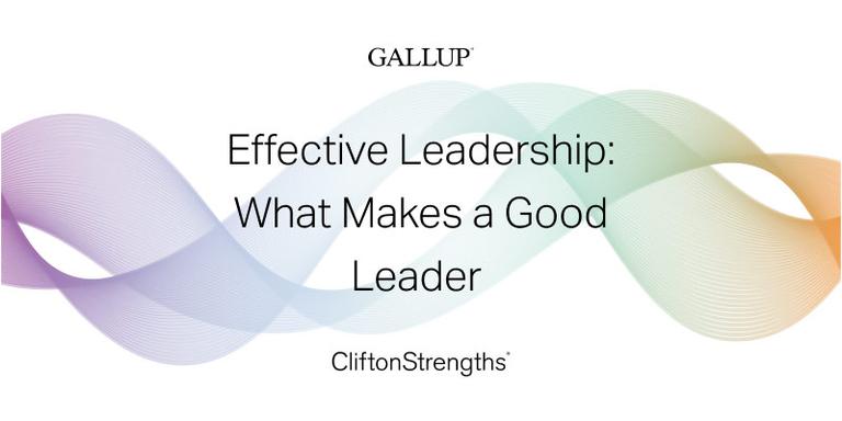 Effective Leadership: What Makes a Good Leader?