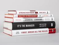 Click this thumbnail to show image: Contents of the Leadership Power Pack, five books, stacked.