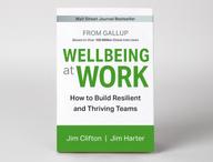 Click this thumbnail to show image: Front cover of Wellbeing at Work.
