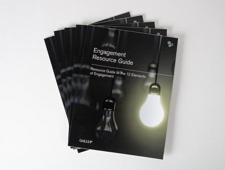 Five Engagement Resource Guides.
